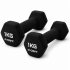 Гантелі вінілові Crivit 2 x 1 кг Black (R4836131820250)