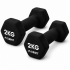 Гантелі вінілові Crivit 2 x 2 кг Black (R4837131820250)