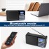 Цифрове радіо Gallypek DAB-P11 Black (R3802)